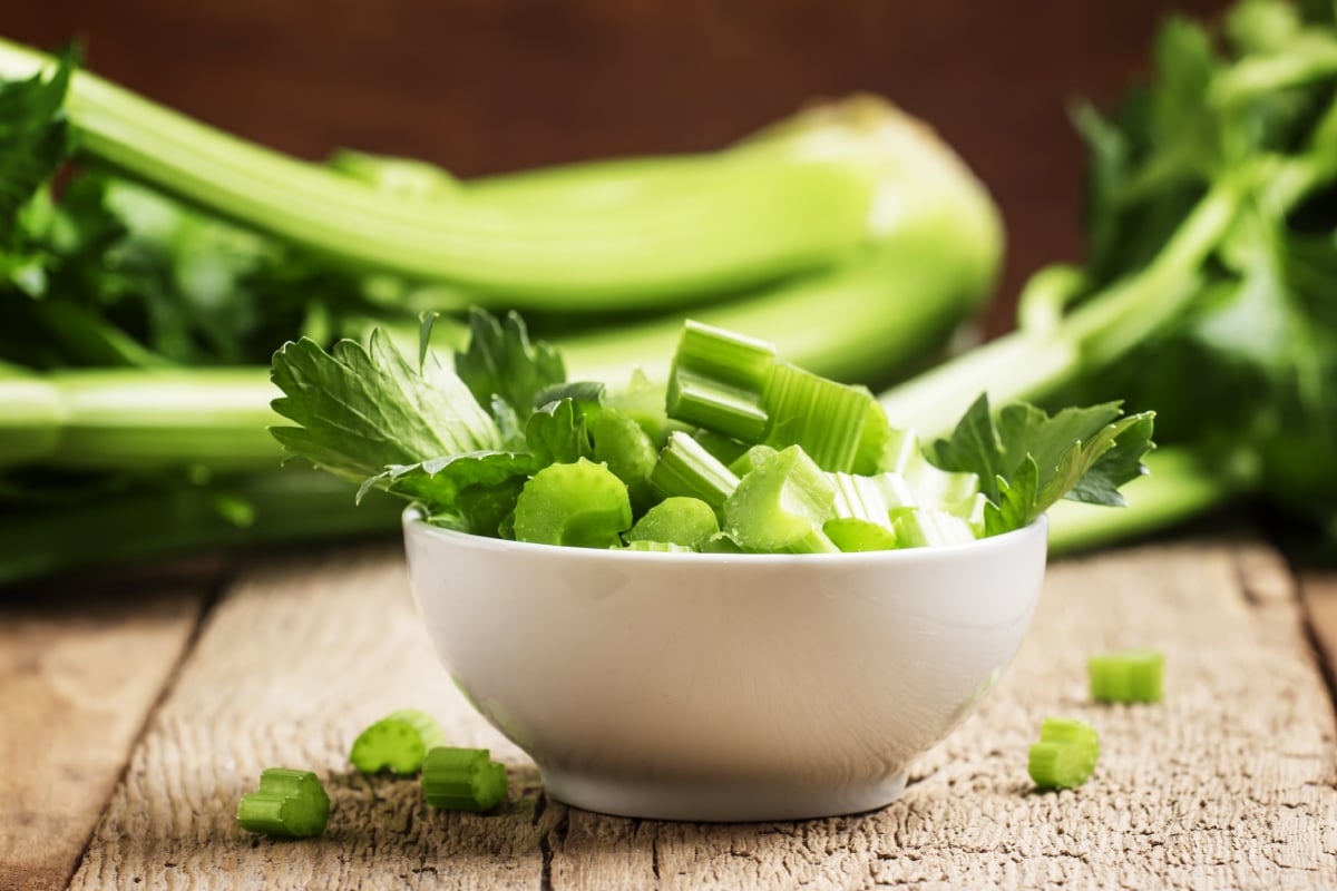 Sellerie ist in Gastronomie sehr beliebt